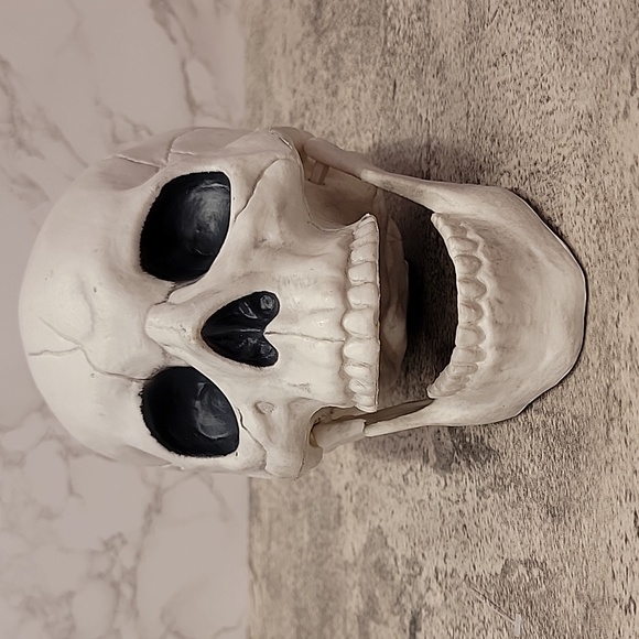 Plastic Halloween human skull with pos-able jaw - Picture 2 of 6